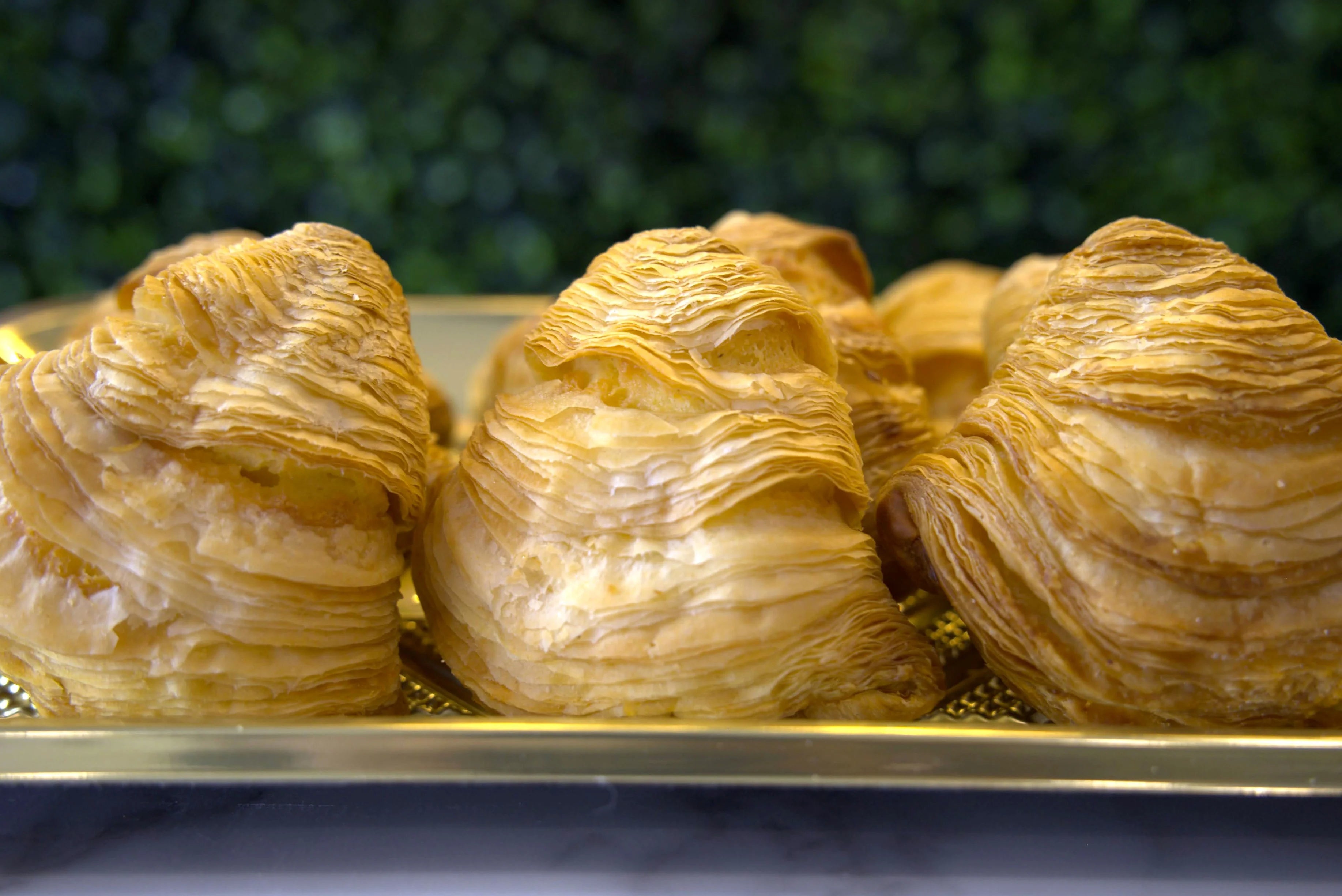 Sfogliatelle Large Pastry